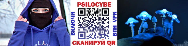 хочу   Мончегорск  Галлюциногенные грибы Psilocybe 