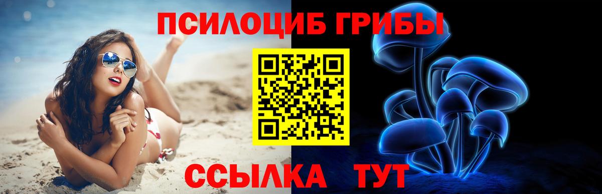 Галлюциногенные грибы Magic Shrooms Мончегорск